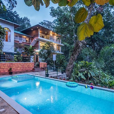Spice Jungle Resort Munnar Eksteriør bilde