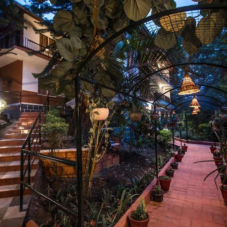 Spice Jungle Resort Munnar Eksteriør bilde