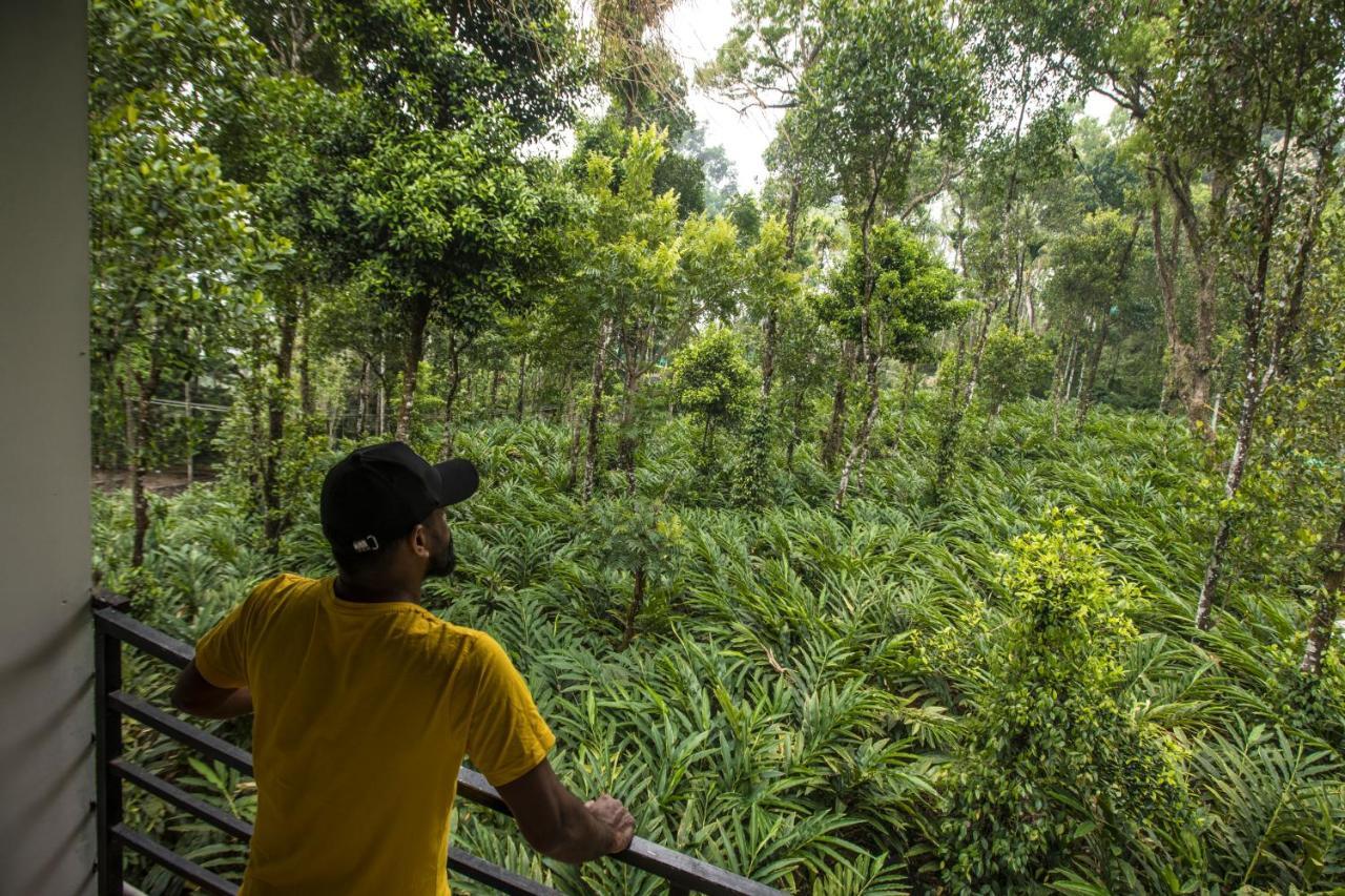 Spice Jungle Resort Munnar Eksteriør bilde