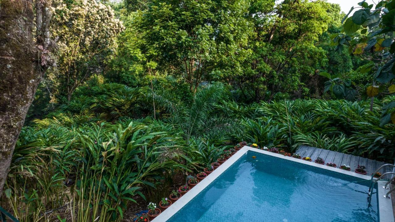 Spice Jungle Resort Munnar Eksteriør bilde