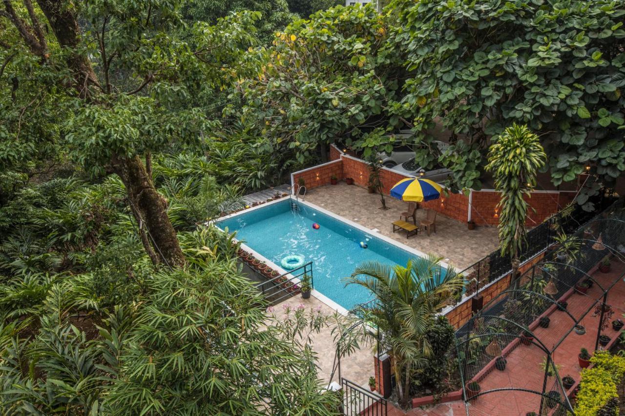 Spice Jungle Resort Munnar Eksteriør bilde