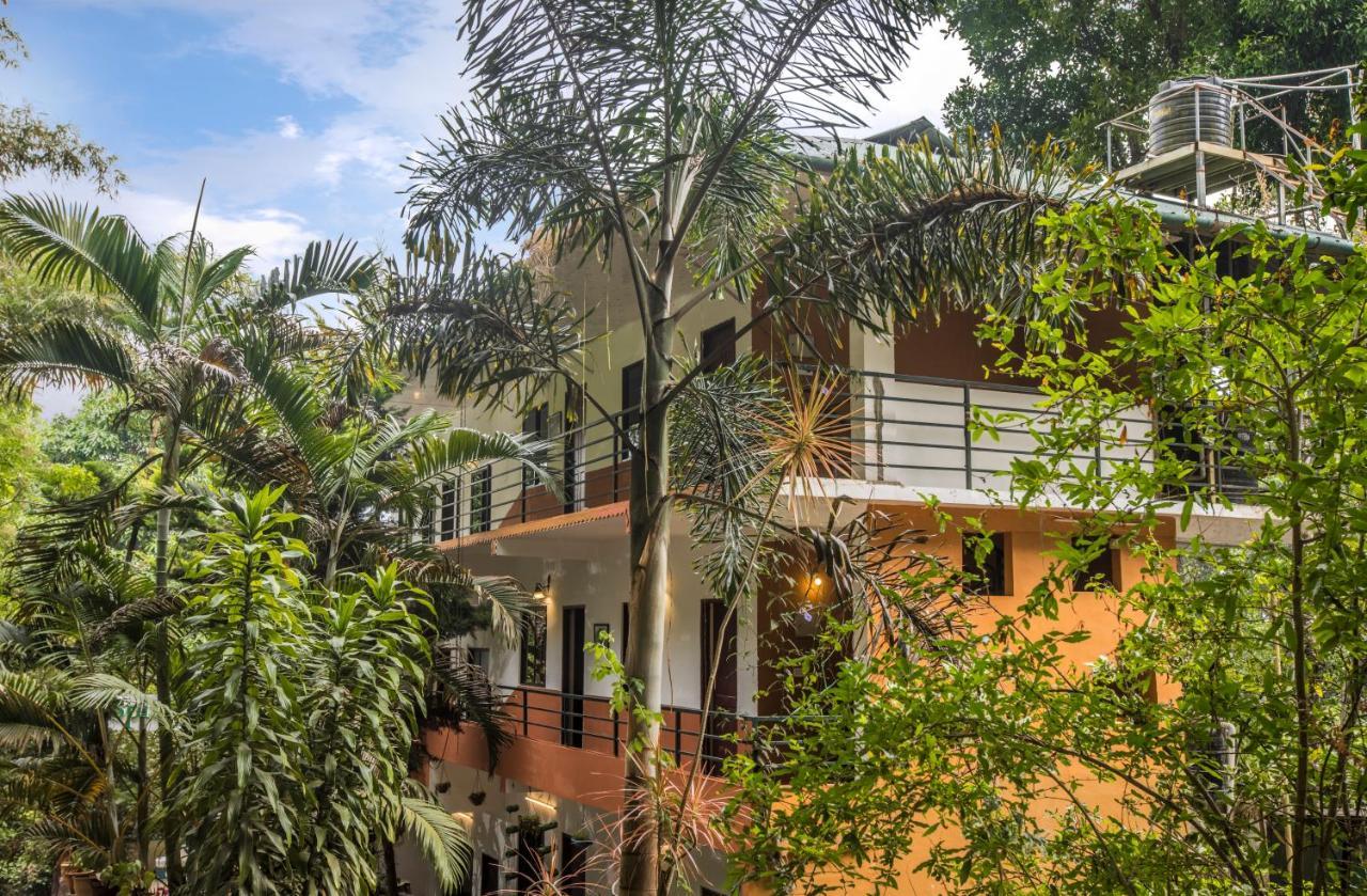 Spice Jungle Resort Munnar Eksteriør bilde